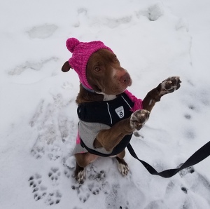 Fundraising Page: Rowan Prown